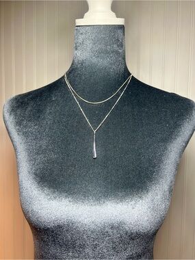 Jenny Bird Layered Silver Pendant Necklace